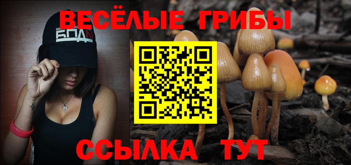 Заволжье  Галлюциногенные грибы Psilocybine cubensis  Галлюциногенные грибы Cubensis  Вход с VPN 